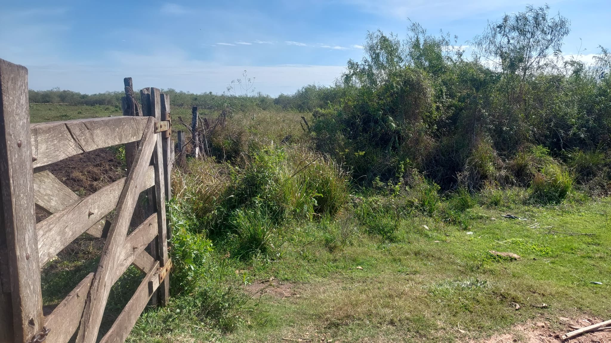 Propiedad De 1050 Hectareas En Nva Italia, foto 2