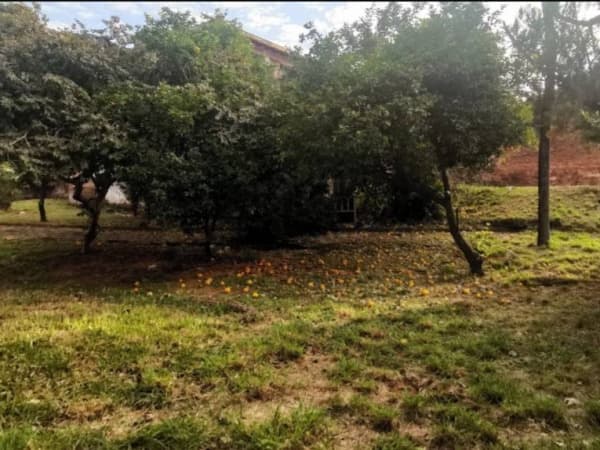 Vendo terreno en lambare