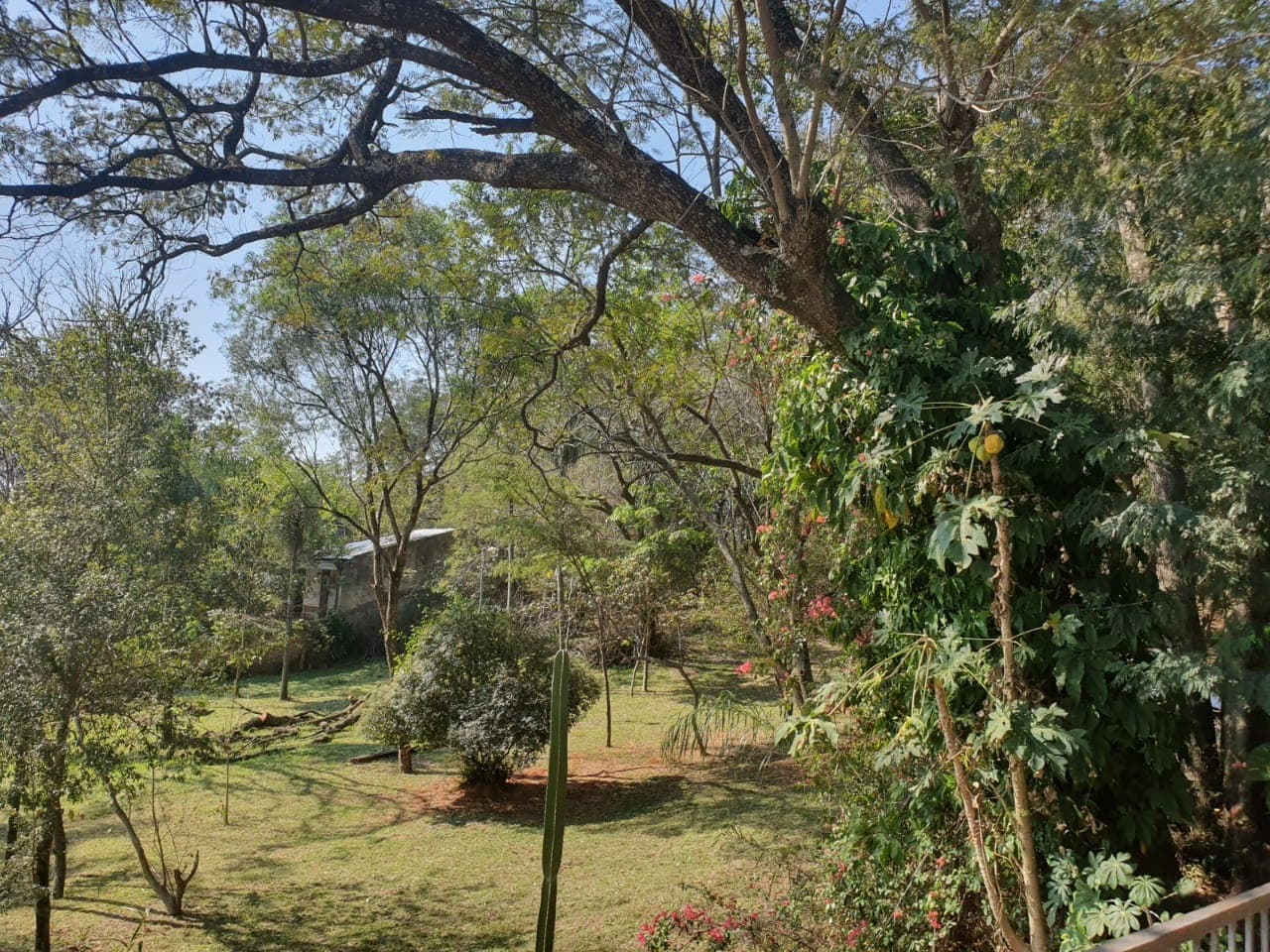 Exclusiva Casa Quinta en Venta en Caacupé - Kurusu Peregrino: ¡Oportunidad Única a Nuevo Precio! — foto 3