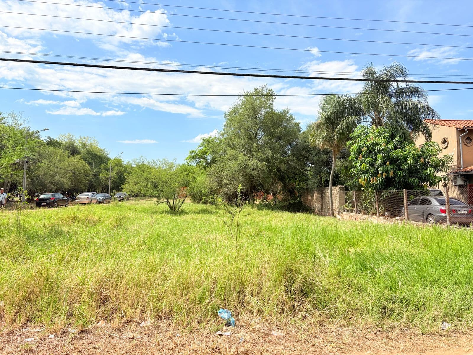 Terreno en esquina - limpio- isla aveiro, foto 4
