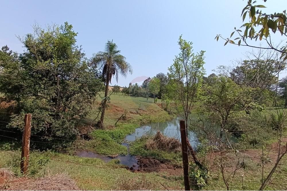 Granja Agrícola - Venta - Paraguay Alto Paraná Minga Guazú, foto 4