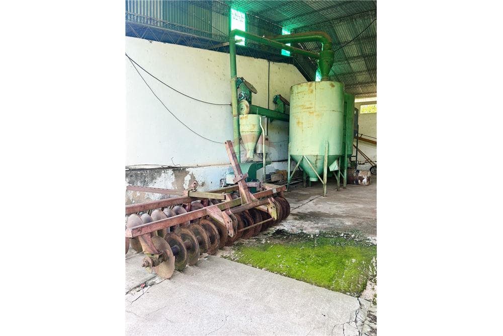 Finca Agrícola - Venta - Ybycuí, Paraguarí, Paraguay, foto 3