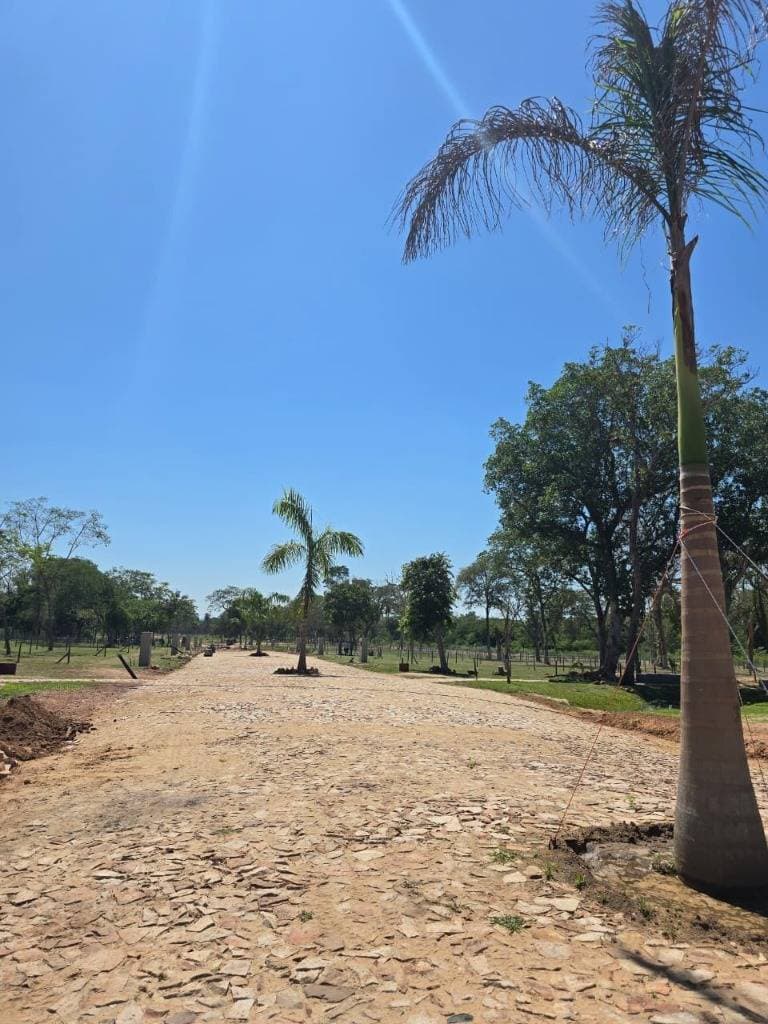 De terreno en complejo aregua forest — foto 2