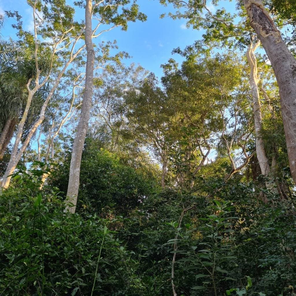 De Terreno En Atyra, foto 2