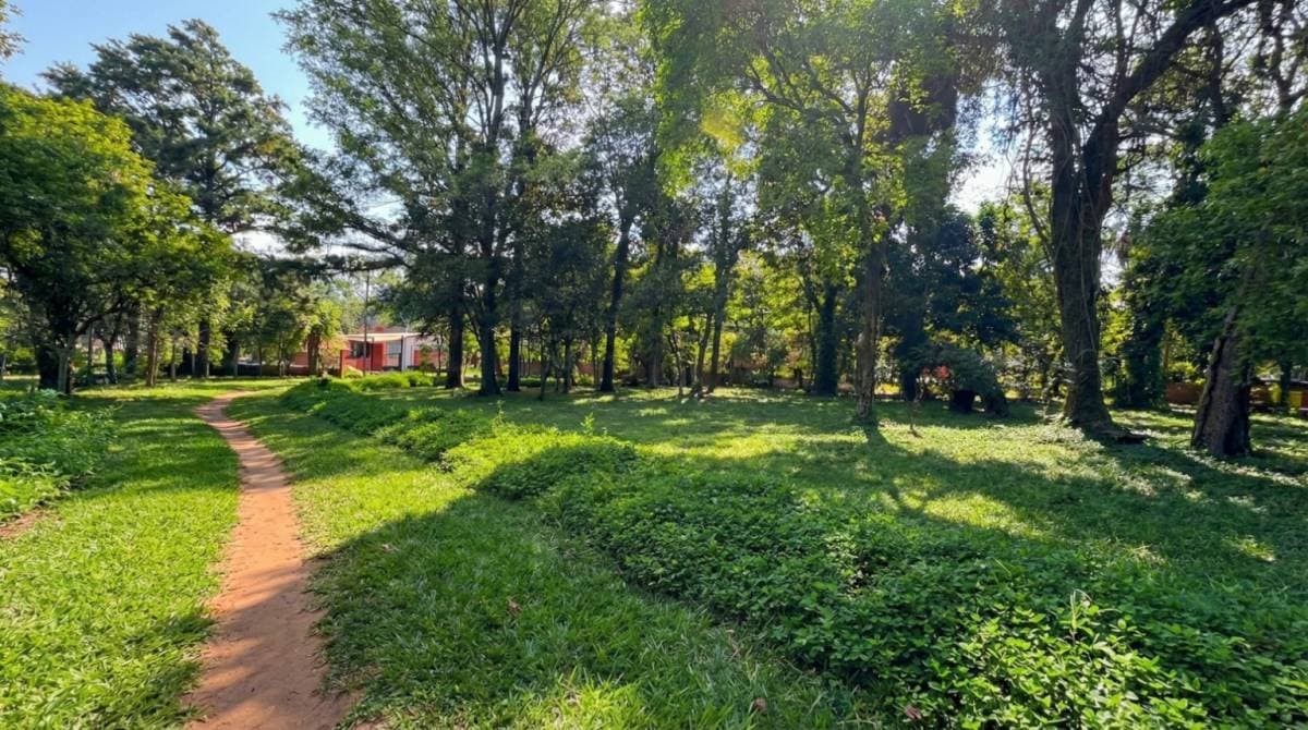 terreno de 2 hectáreas sobre ruta Capiata / Thompson / Ypane, foto 3