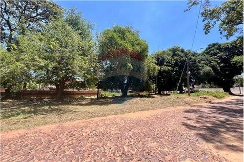 Terreno venta lambare zona fabrica achon, foto 2