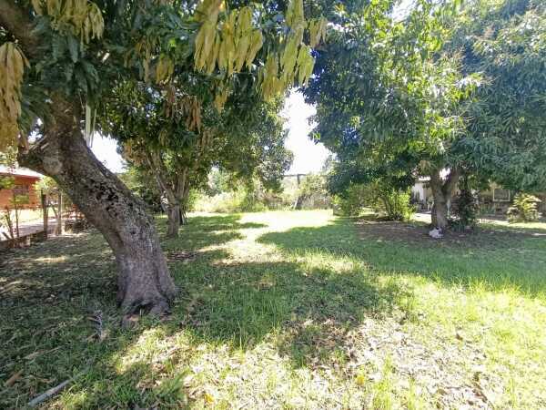 Terreno en venta – Compañía Patiño, Areguá — foto 5