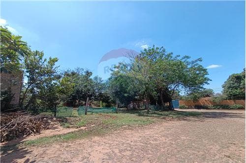 Terreno en venta Villa Elisa zona colonia elisa, foto 3