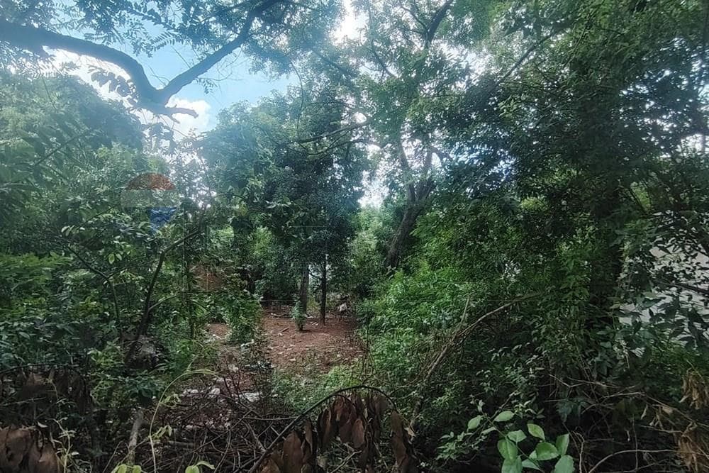 Terreno, foto 4