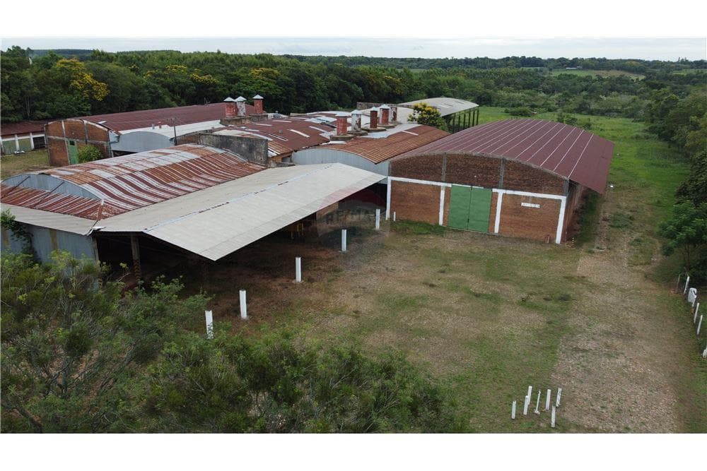 Depósito - Alquiler - Paraguay Caaguazú Coronel Oviedo, foto 2