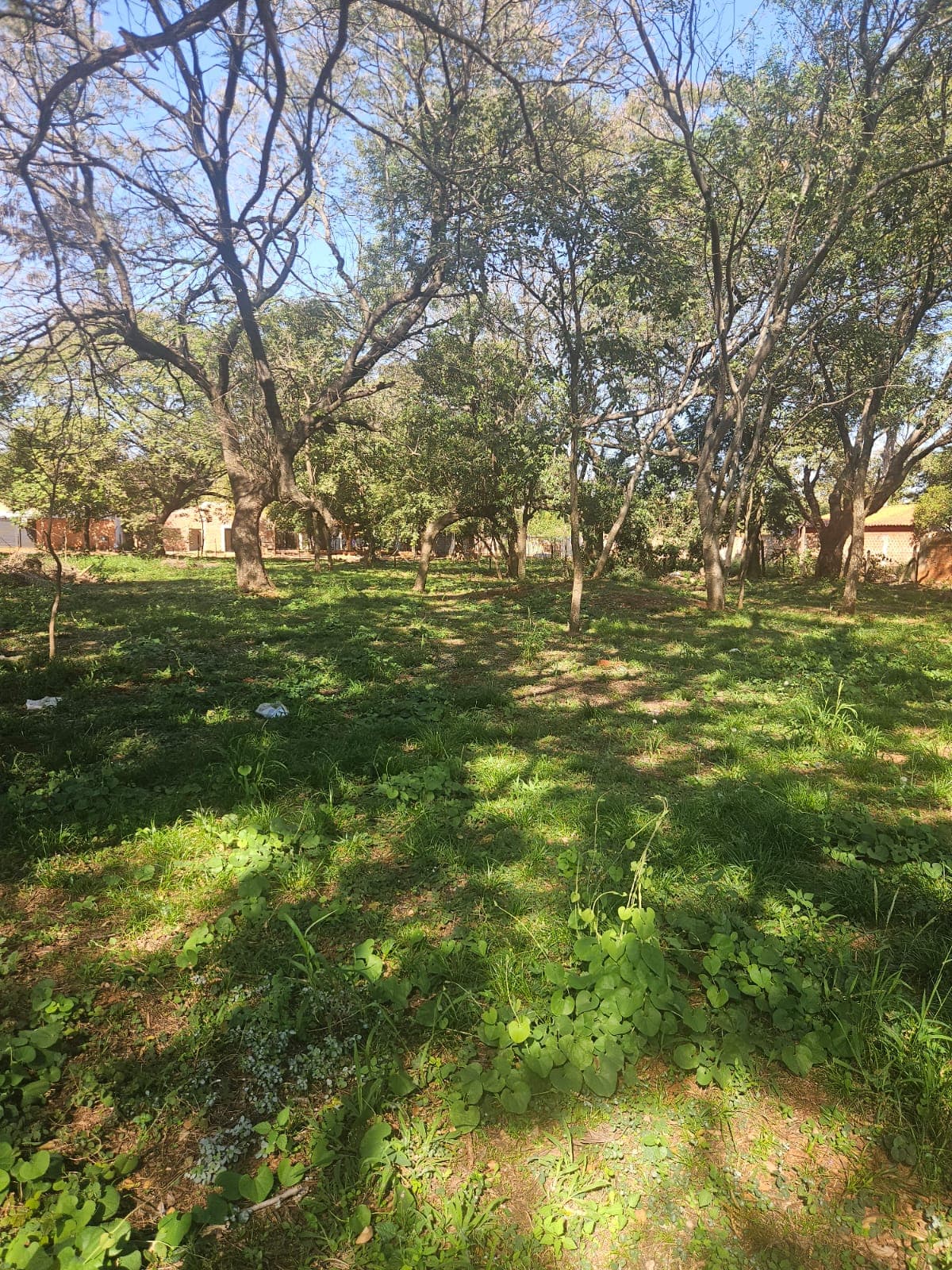 Terreno en Luque para desarrolador zona rakiura, foto 4