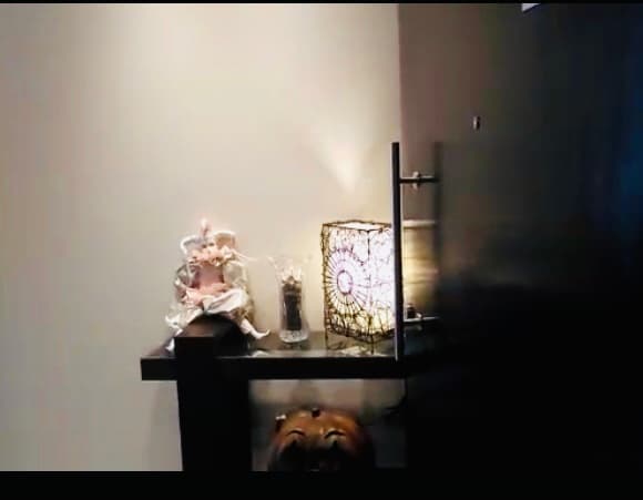 Hermoso departamento amoblado zona Villa Morra, foto 5