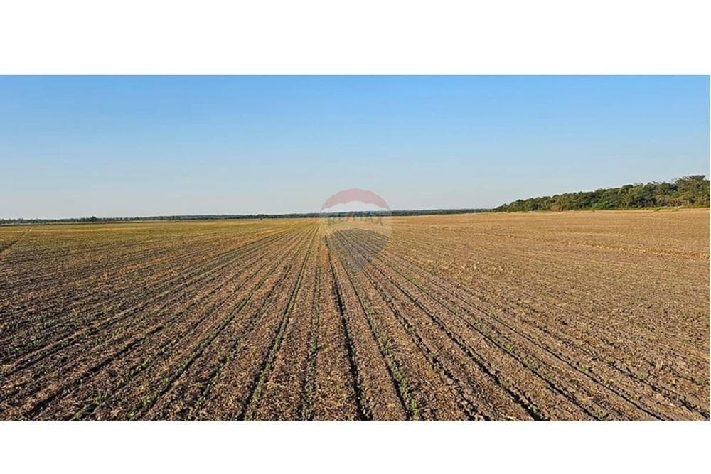 Estancia/Campo - Venta - San Pedro Del Paraná, Paraguay, foto 5