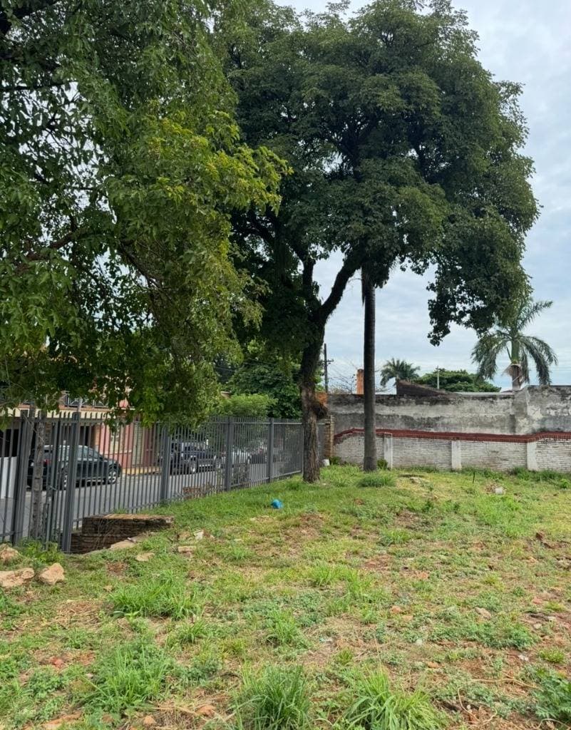 Terreno en venta ubicado en el centro de Luque, foto 3