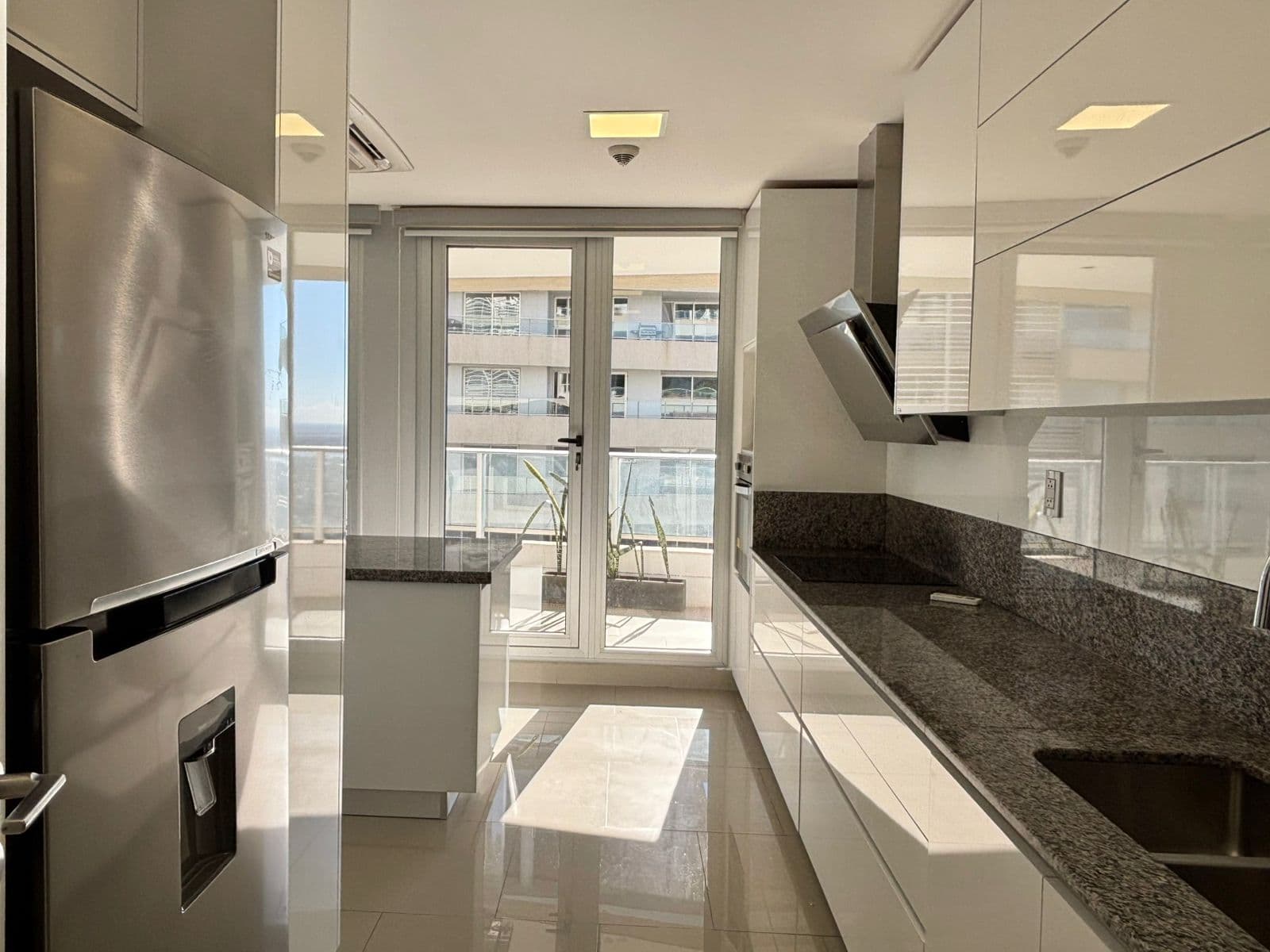Departamento de 175 m2 en el palacio de los patos, foto 3