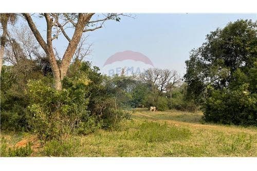 Terreno en venta, altos, foto 3