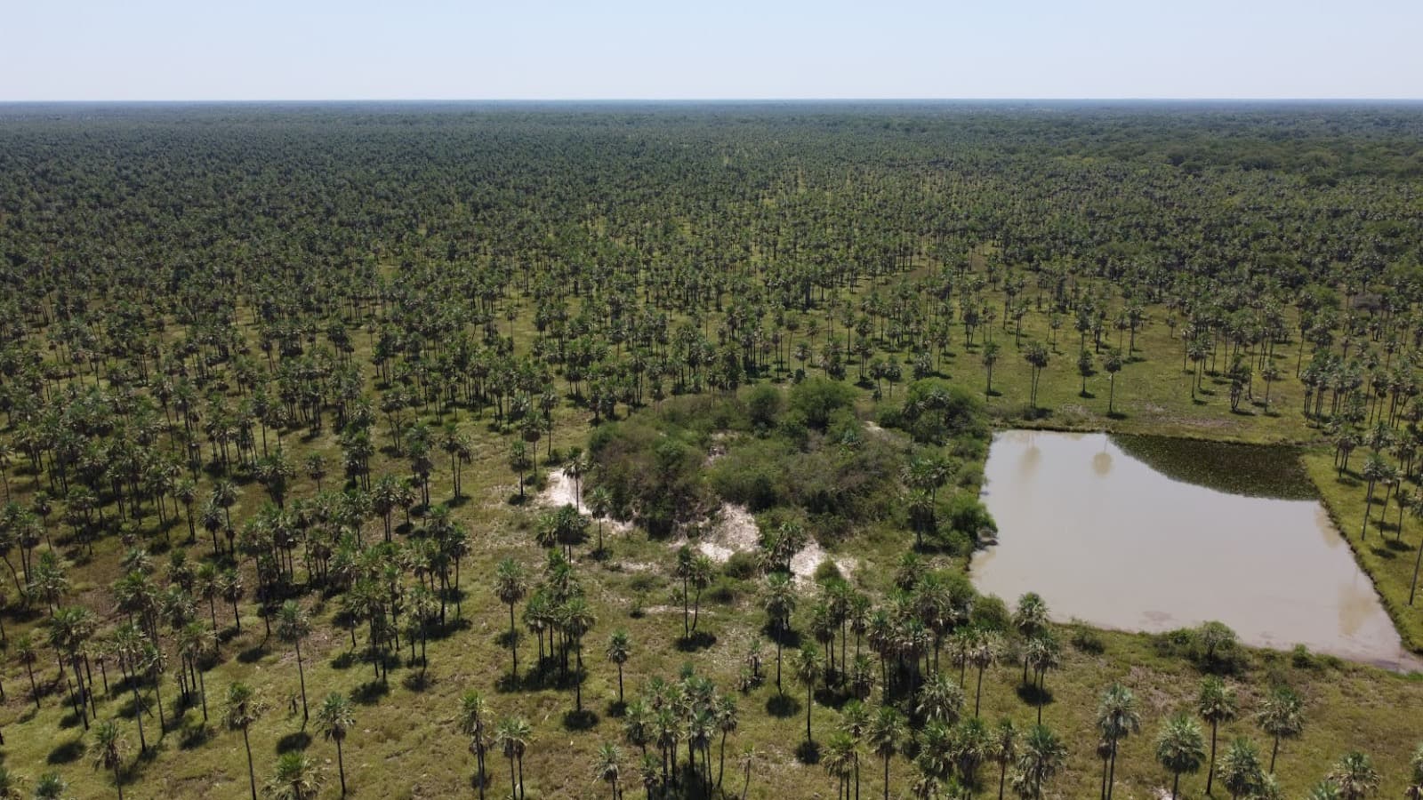 Estancia Ganadera de 2,895 Hectáreas en Benjamín Aceval — foto 3