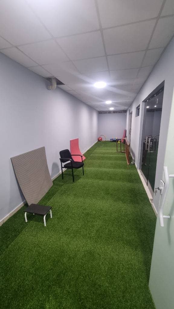 consultorios para médicos en Luque - Barrio Villa Adela, foto 2