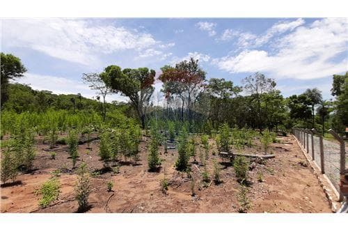 Terreno - Venta - Paraguay Cordillera San Bernardino, foto 3