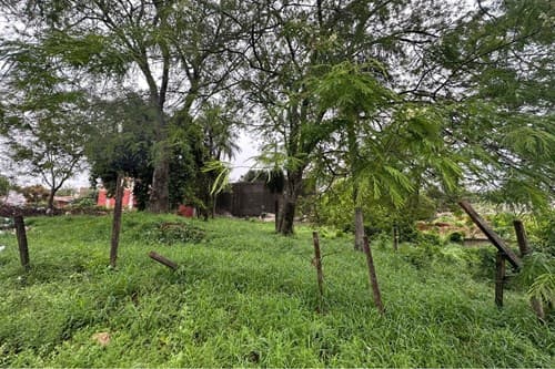 Terreno en lambare barrio san isidro, foto 3
