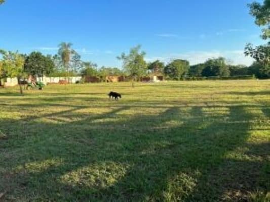 Terreno en venta, coronel oviedo, foto 5