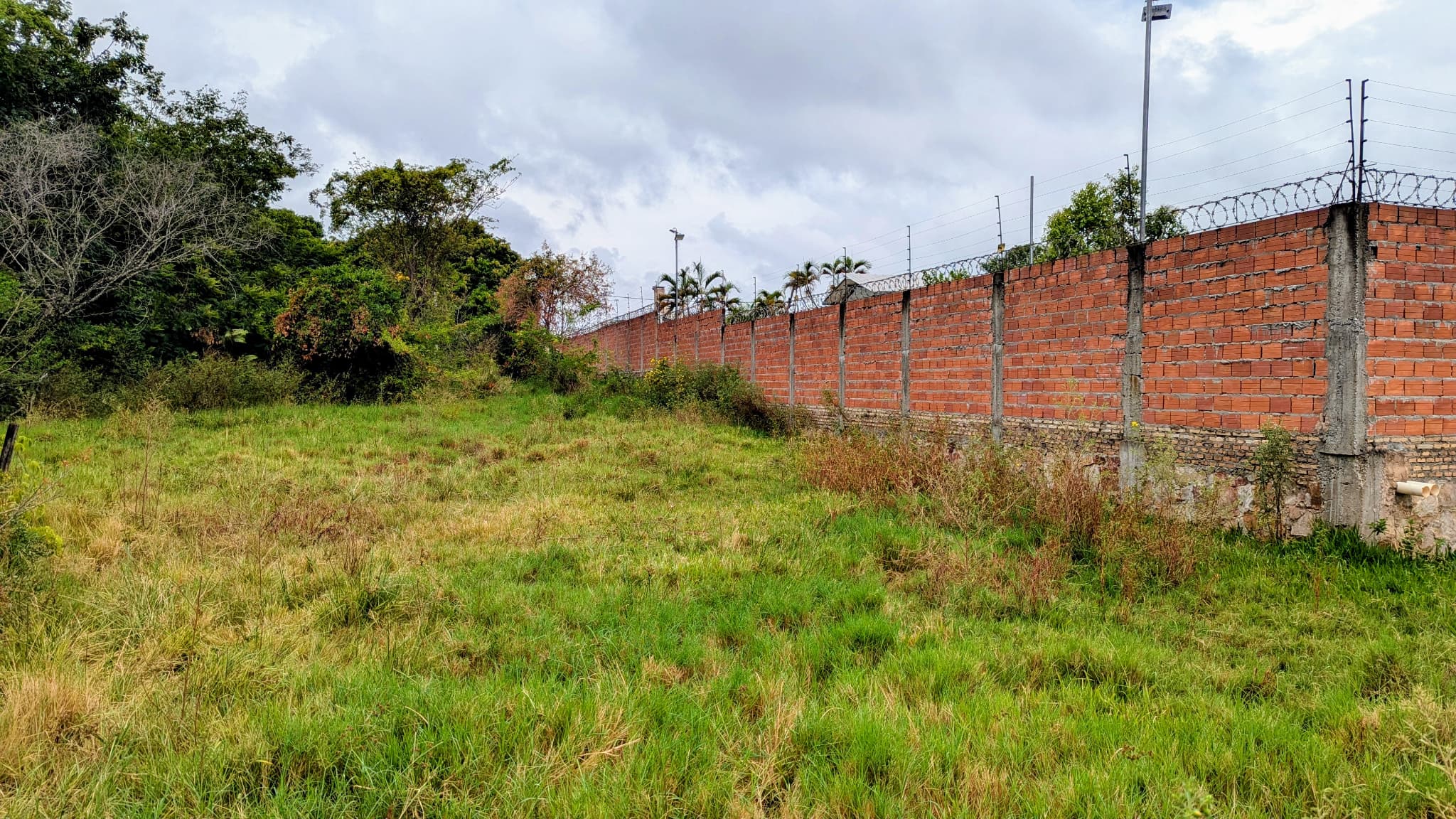 Terreno en mora kue - Luque — foto 2