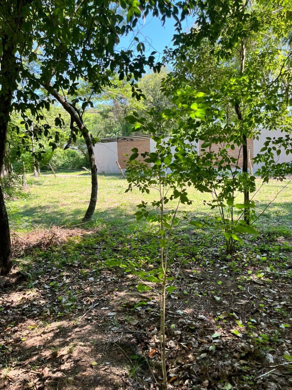 Terreno en venta | San Bernardino – barrio colón, foto 3
