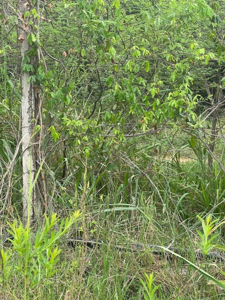 Terreno en urbanizacion surubi i 2, foto 2