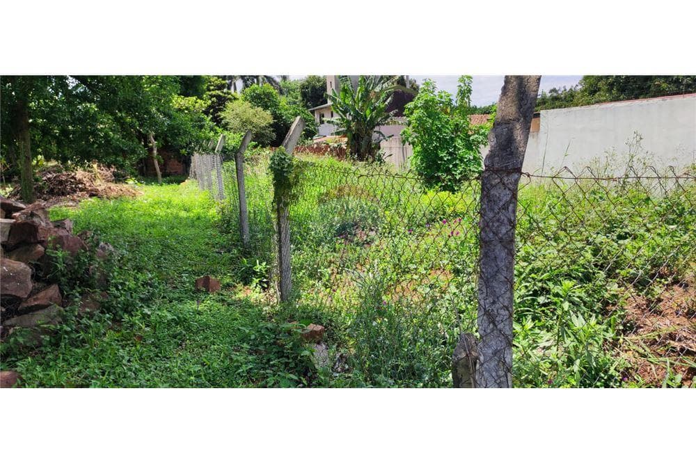 Terreno - Venta - San Lorenzo, Paraguay, foto 3