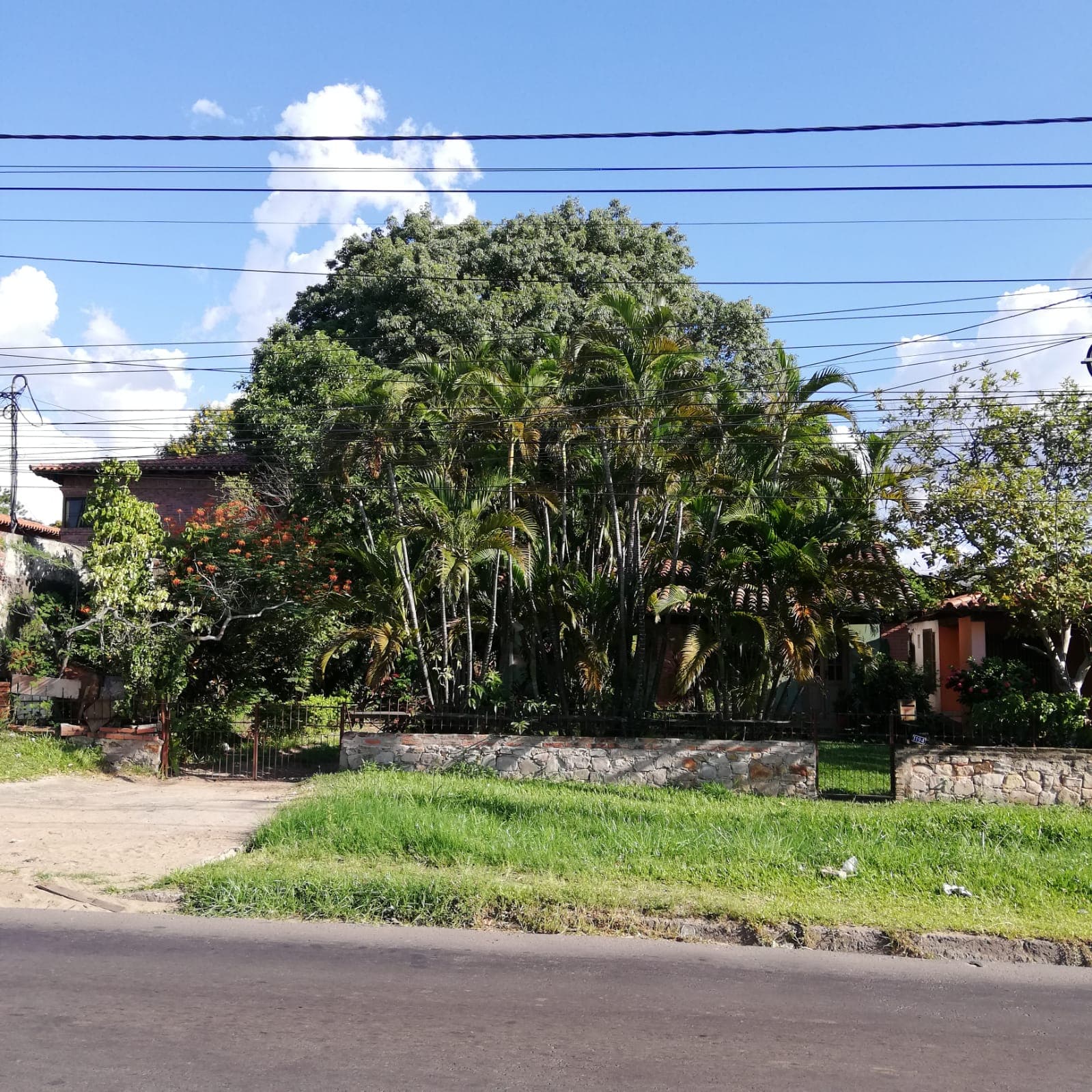 ¡atención inversionistas, oferta amplio terreno sobre la ex avda. Transchaco!, foto 5