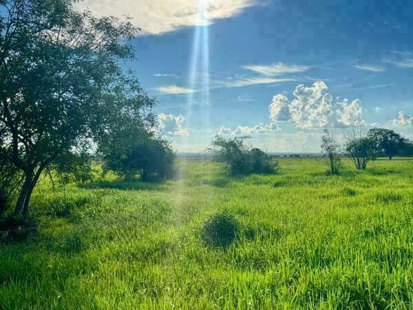 Propiedad en arroyos y esteros – 48 hectáreas (16 hectáreas de pasto)*, foto 1