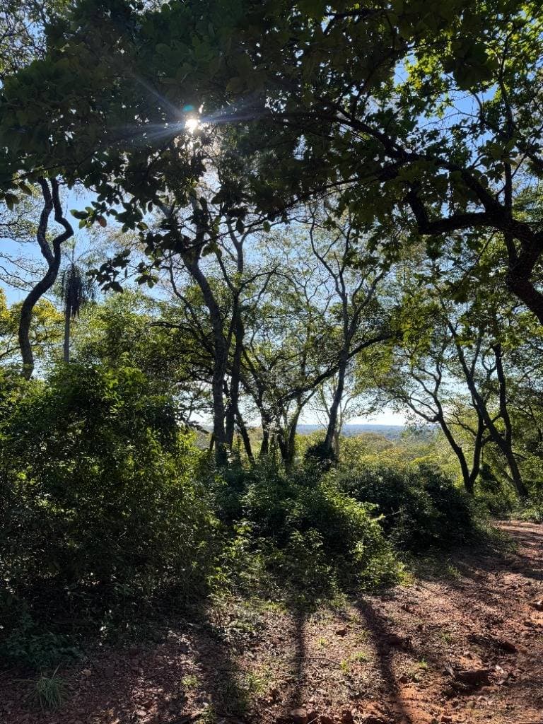 Oportunidad Única en Bosques de Hermann- Areguá, foto 3