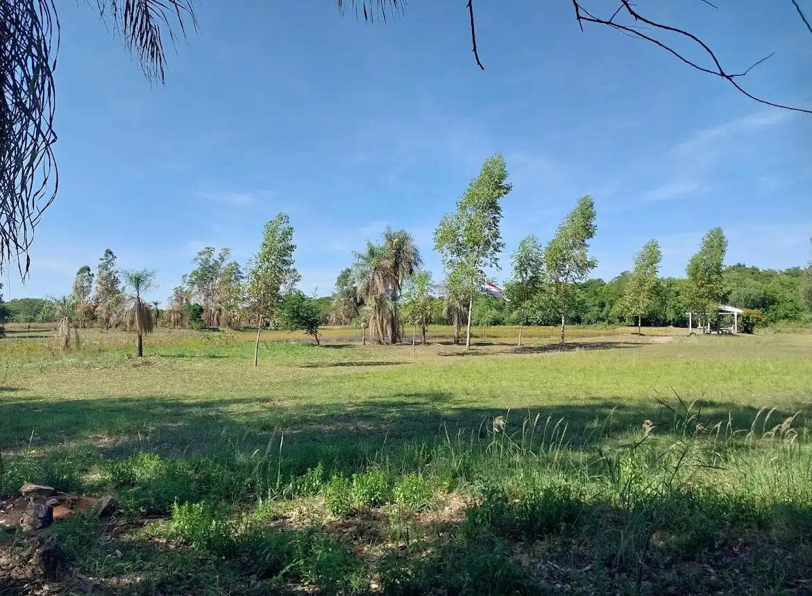 Oportunidad en zona industrial 12 hectáreas en Ypane/Villeta, foto 3