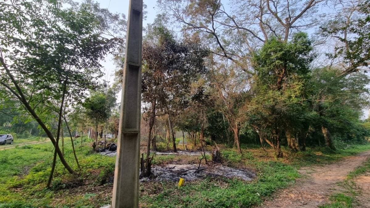 Terrenos en ciervo cua San Bernardino — foto 3