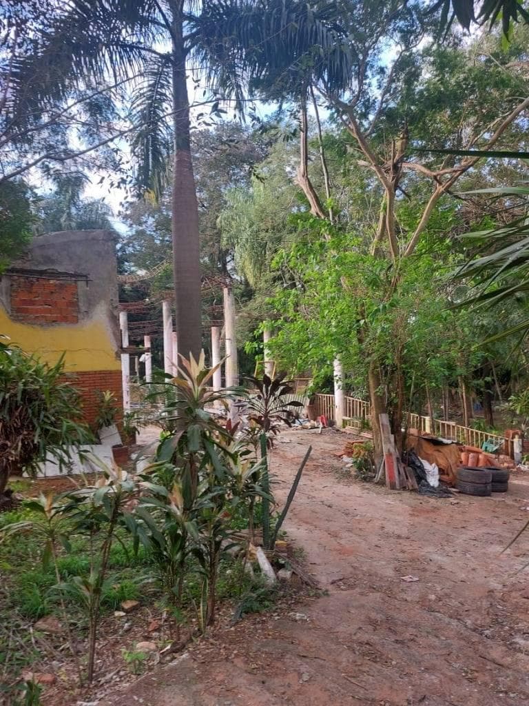 Terreno en Ñemby — foto 3