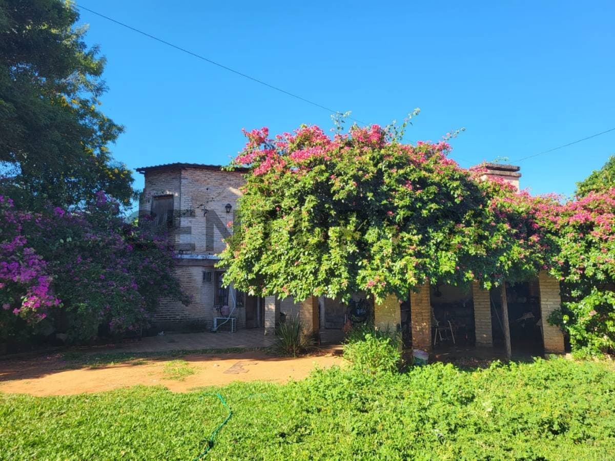 Terreno en venta en palma loma, Luque, foto 2