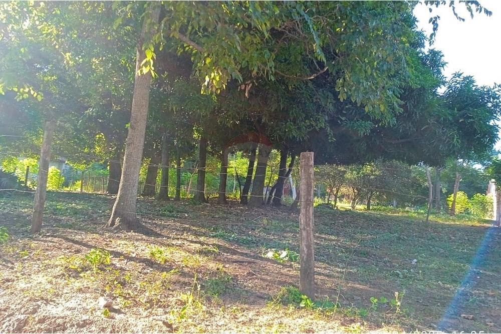 Terreno en la Ciudad de Luque, foto 4