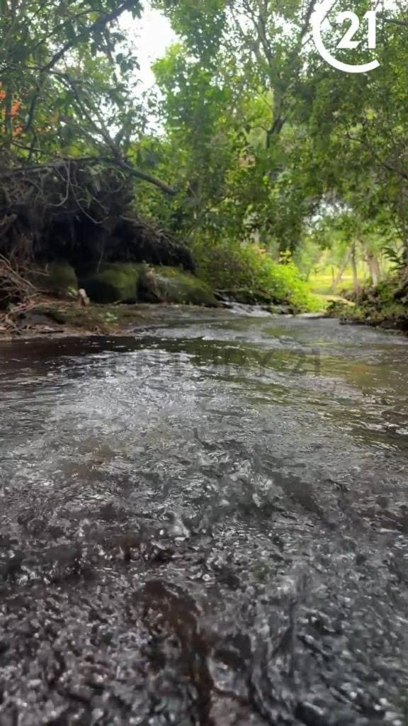 De Terreno En Pirebebuy, Cordillera, foto 5