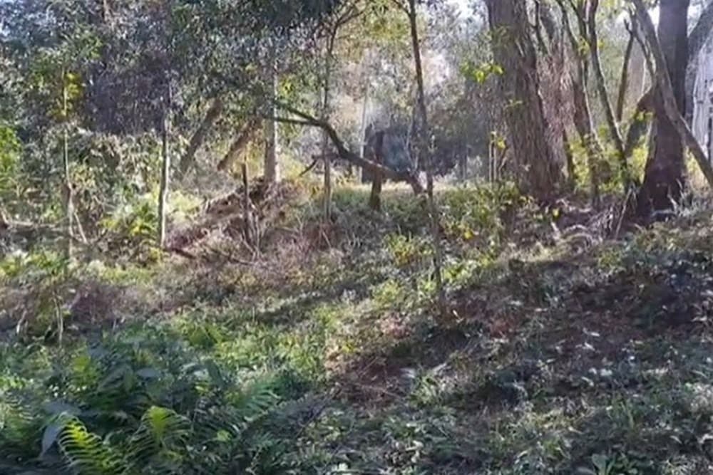 De Terreno En Pirayú 6,48 Hectáreas, foto 5