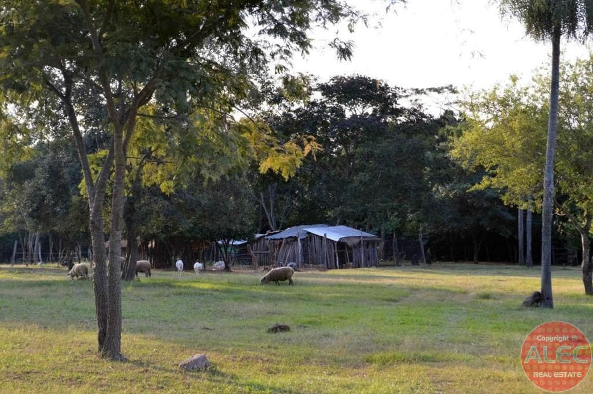 Altiplano De 5 Hectáreas Con Casa En Cerro Santo Tomás - Mbatoví — foto 5
