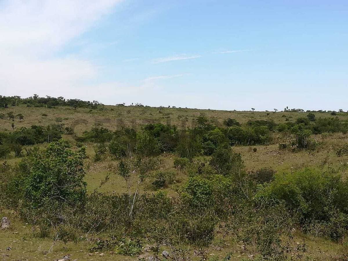 estancia en Caapucu - Departamento de Paraguarí — foto 1