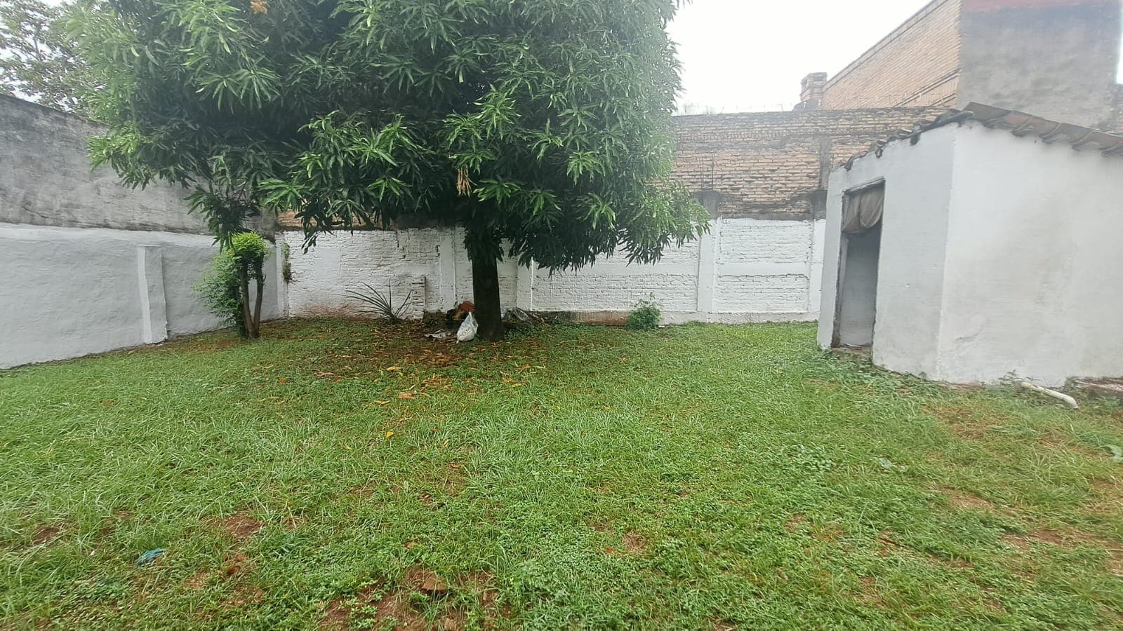 Casa sobre bruno guggiari — foto 2
