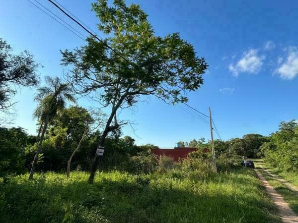 Vendo terreno en sanber - en altura