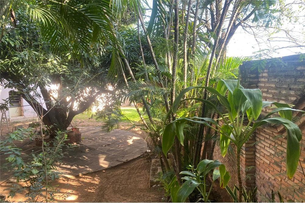 Terreno con Alto Potencial, foto 3