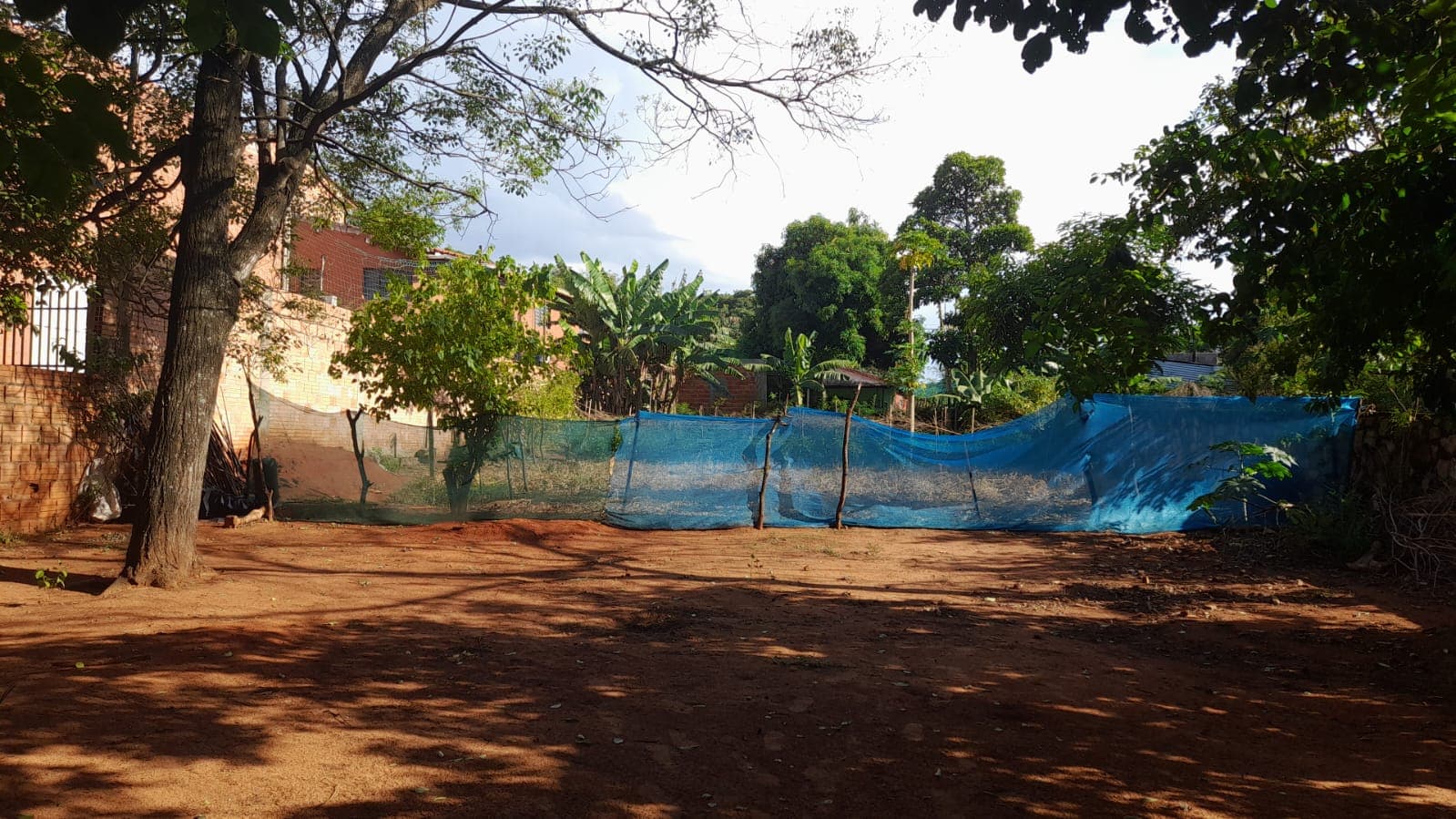 Imponente propiedad en Luque — foto 3