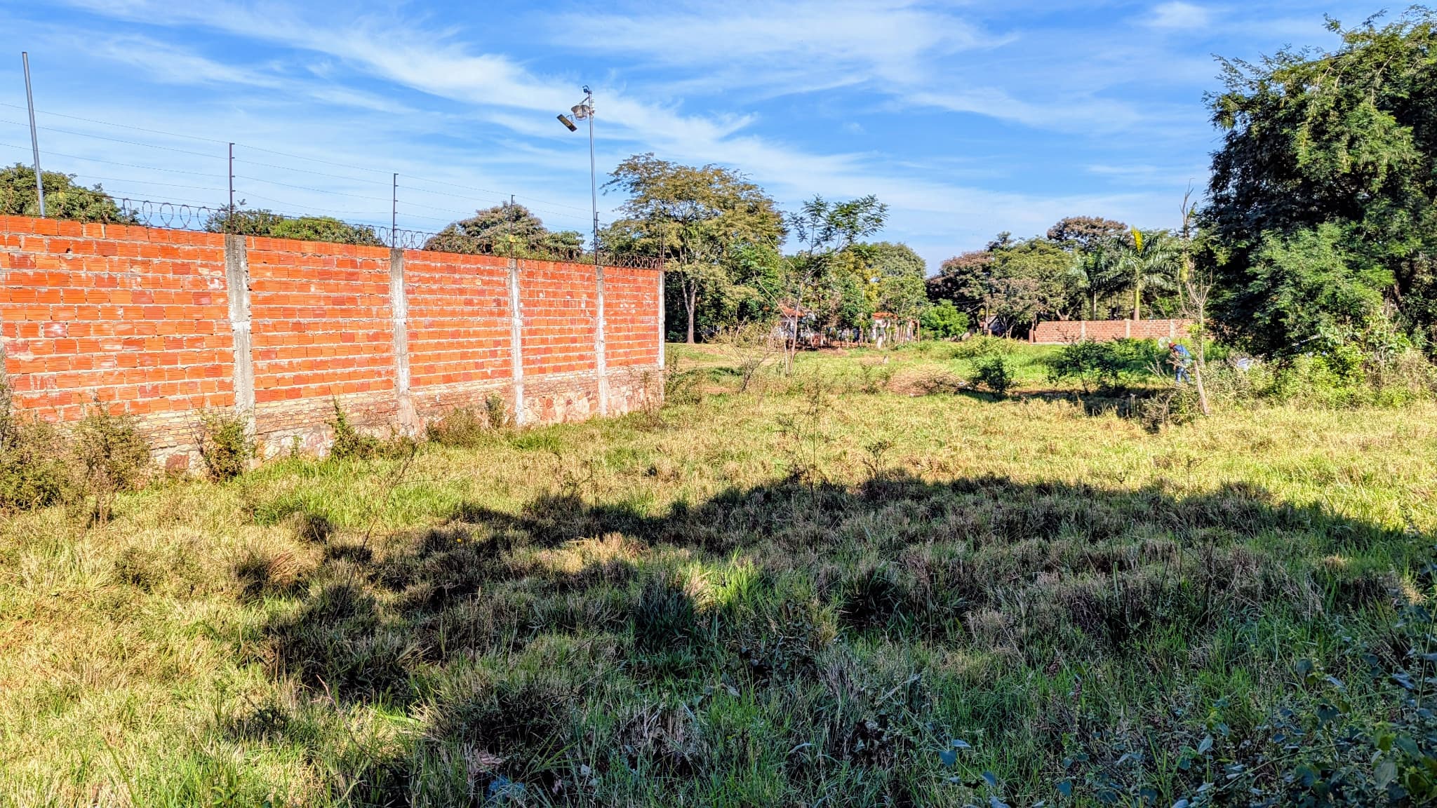 Terreno en mora kue - Luque — foto 3