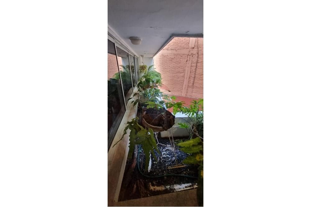 Departamento - Venta - Manorá, foto 2