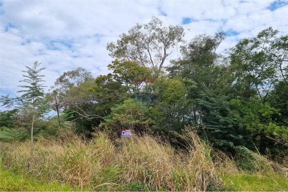 Terreno venta Mariano Roque Alonso Surubi'i, foto 3