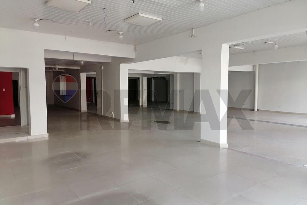Local Comercial en Alquiler:Avda.E.Ayala, foto 5