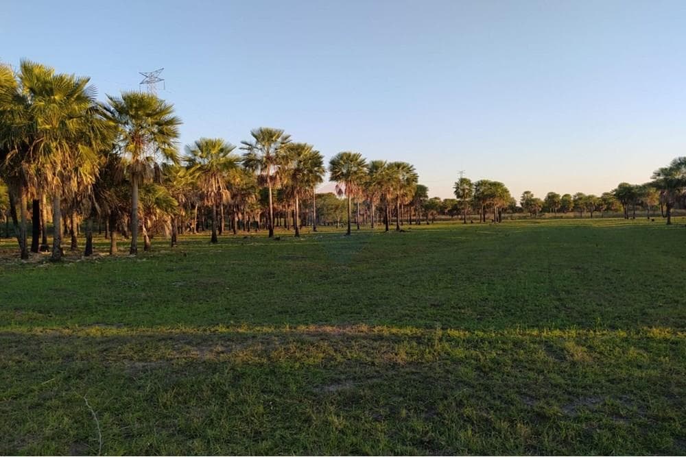 Terreno en Nueva Asuncion, foto 3